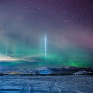 Meet your Posher, Chidubem